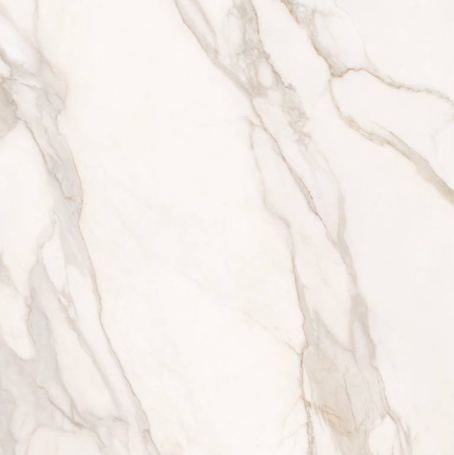 SUPERGRES PURITY MARBLE CALACATTA 120x120 LUX