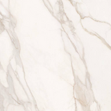 SUPERGRES PURITY MARBLE CALACATTA 120x120 LUX