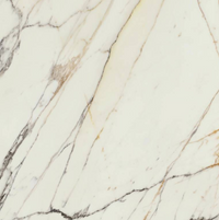 SUPERGRES PURITY MARBLE MYSTERIOUS WHITE 120x120 LUX