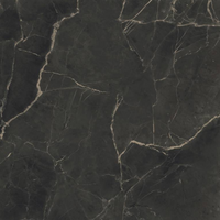 SUPERGRES PURITY MARBLE SUPREME DARK 120x120 LUX