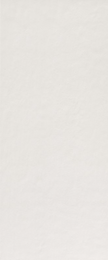 FAP CERAMICHE TRUE COLORS GHIACCIO 50x120 MAT