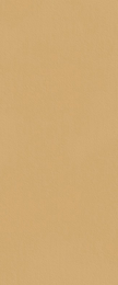 FAP CERAMICHE TRUE COLORS CARAMEL 50x120 MAT