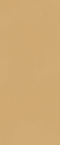 FAP CERAMICHE TRUE COLORS CARAMEL 50x120 MAT
