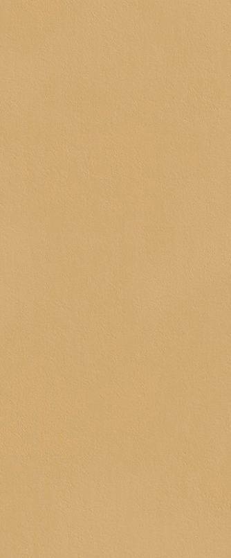 FAP CERAMICHE TRUE COLORS CARAMEL 50x120 MAT