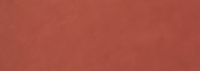 FAP CERAMICHE COLOR LINE MARSALA 25x75 MAT