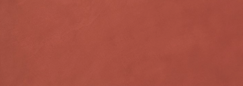FAP CERAMICHE COLOR LINE MARSALA 25x75 MAT
