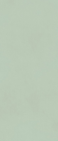 FAP CERAMICHE TRUE COLORS MATCHA 50x120 MAT
