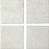 WOW SUKABUMI WHITE 11x11 ANTIDERAPANT R11