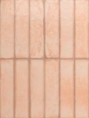 SANT'AGOSTINO TETRIS ROSE 5x20 LUC