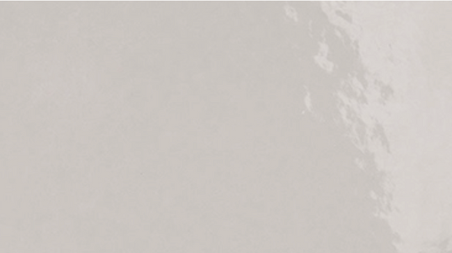 ELIOS CERAMICA TROPICAL BIANCO 20x20 LUCIDO