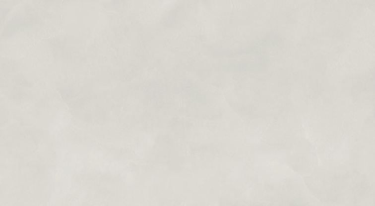 ELIOS CERAMICA ALLURE SNOW 60x120 NATURAL