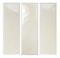 WOW SABIL FLOUR GLOSS - 5x15