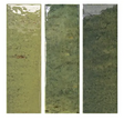 WOW SABIL JUNGLE GLOSS - 5x15