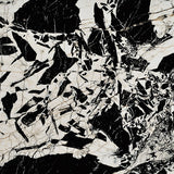 FIORANESE PRESTIGE BLACK ANTIQUE 74x74 MAT