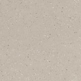 FIORANESE CEMENTINE COCCI GRIGIO 20x20 MAT