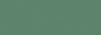 LOVE TILES GENESIS GREEN 30x60 MAT