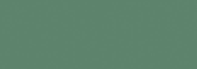 LOVE TILES GENESIS GREEN 30x60 MAT