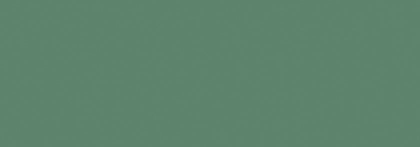 LOVE TILES GENESIS GREEN 30x60 MAT