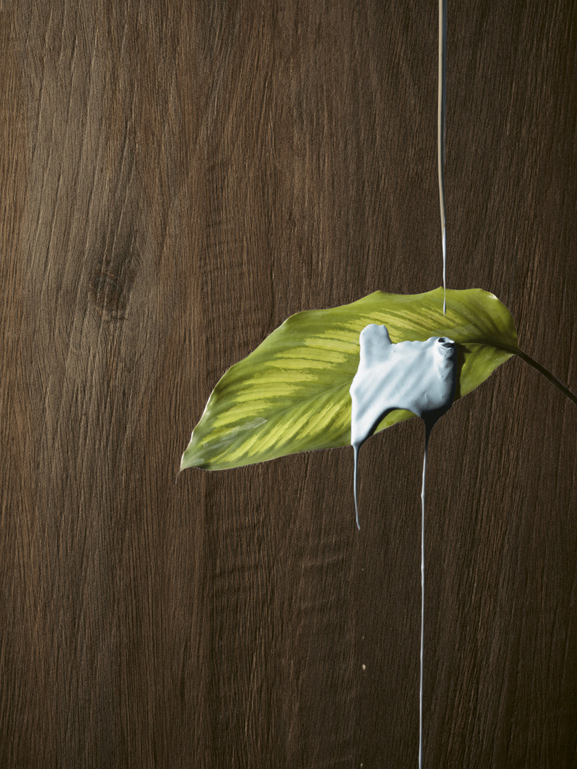 Serenissima I Lecci Leccio Verniciato — carrelage effet bois