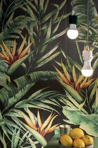 ELIOS CERAMICA LOVE&DECORS FLORA 60x120 NATURAL