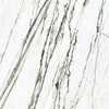 MAGICA Microcosmi Calacatta Green 60x120 cm
