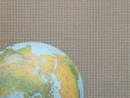 MICRO Micromosaics Alea en situation