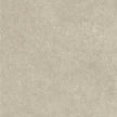 COTTO D'ESTE Legend Fossil Grey Naturel 60x60 cm