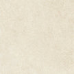 COTTO D'ESTE Legend Primal White Naturel 60x60 cm