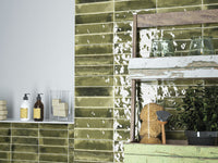 CIFRE JAZBA OLIVE 6X24,6 POLI