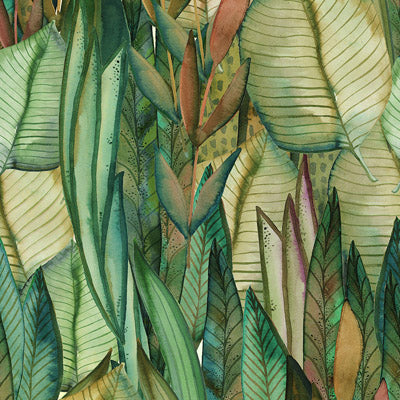 SARTORIA Scenari 1.0 Tropical Paint 60x120 cm