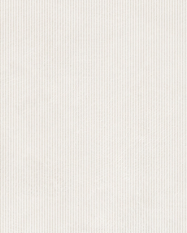Light Grey Fade