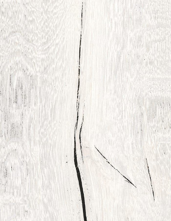 Carrelage Sant'Agostino Timewood White, grès cérame