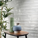 ELIOS CERAMICA TROPICAL BIANCO 6x25 LUCIDO