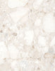 Carrelage Sant'Agostino Venistone Ivory, grès cérame