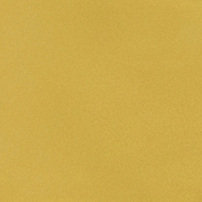 SARTORIA Vernici Mustard Mayo 5x25 cm