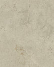 Verso Cross Cut Classic Arpa