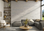 BST|amb-baden-ceniza_balbi-ceniza_hq.jpg