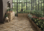 BST|amb-elvas-cotto_hq.jpg