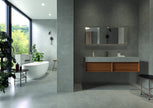 CIFRE CERAMICA Cricket en situation