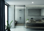CIFRE CERAMICA Cricket en situation