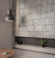 BST|amb-musa-gris_hq.jpg