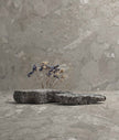 Ambiance carrelage Apavisa Ashen