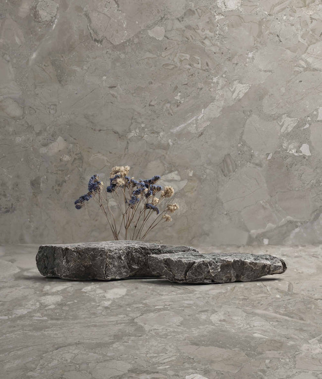 Ambiance carrelage Apavisa Ashen