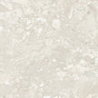 Carrelage Apavisa Ashen Ivory naturelle 120x120