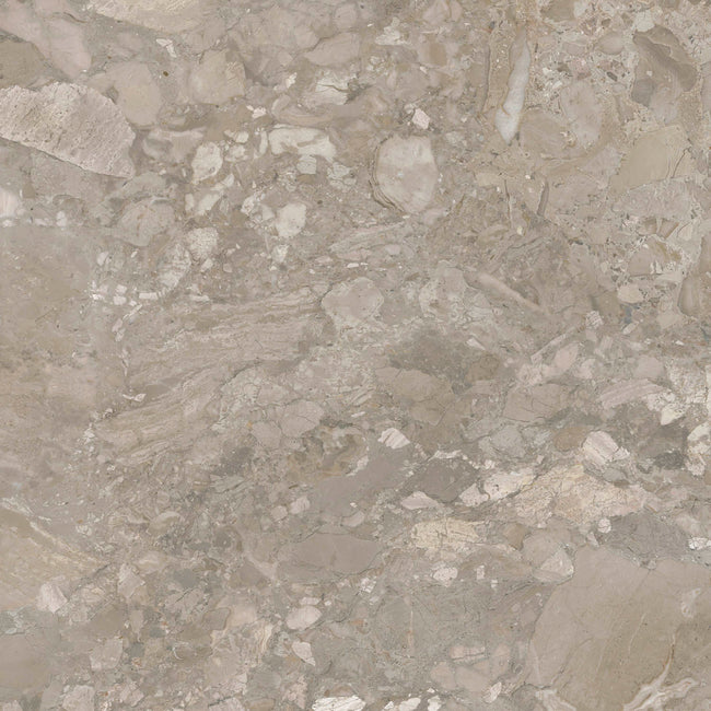 Carrelage Apavisa Ashen Taupe naturelle 120x120
