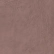 Carrelage Apavisa Equinox Coral naturelle 120x120