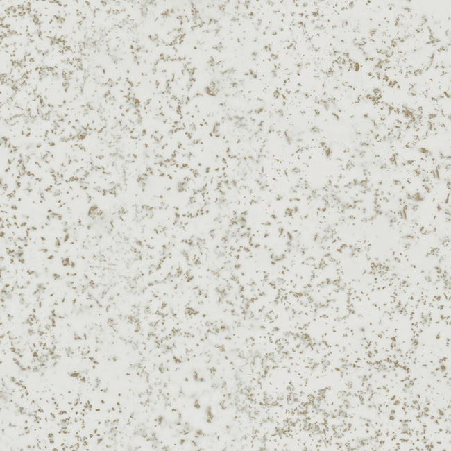 Carrelage Apavisa Era Green naturelle 60x60
