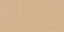 Carrelage Apavisa Ethnic Ochre naturelle 50x100