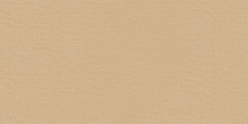 Carrelage Apavisa Ethnic Ochre naturelle 50x100