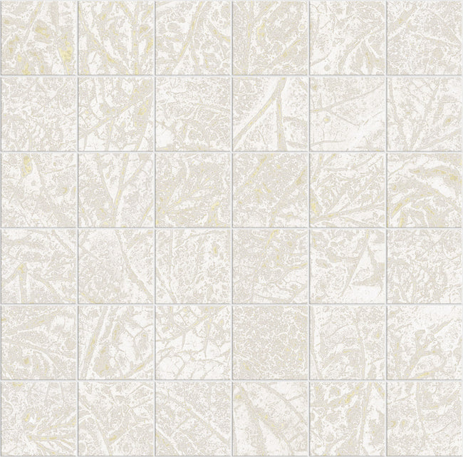 Carrelage Apavisa Fragmenta Beige naturelle Mosaïque 5x5 sur trame 30x30